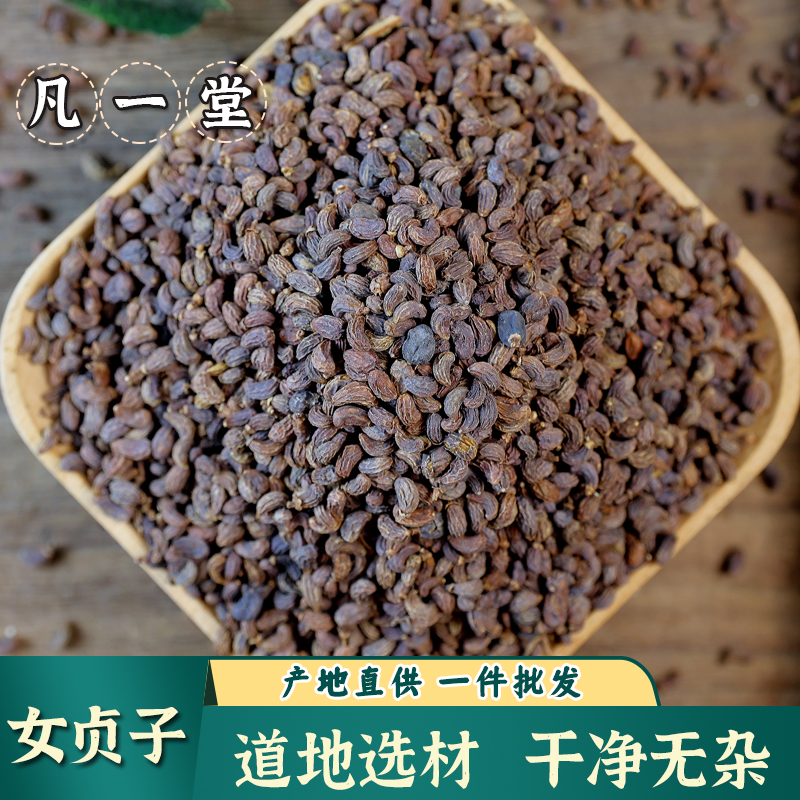 女贞子墨旱莲中药材女贞子