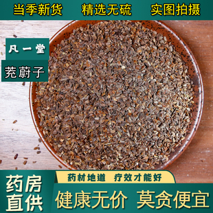 苦草子 益母草子 小胡麻 中药材 茺蔚子 凡一堂 三角胡麻