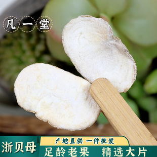 凡一堂 浙贝母 中药材贝母 浙贝 浙贝片浙贝粉象贝大贝土贝珠贝