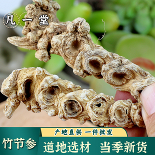【凡一堂】竹节参中药材竹节三七竹节人参竹鞭三七山漆白三七明七