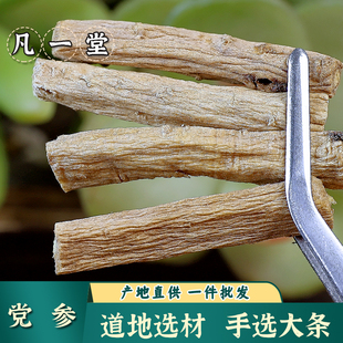 黨參粉 黨參條 黨參片 甘肅黨參 凡一堂 中藥材
