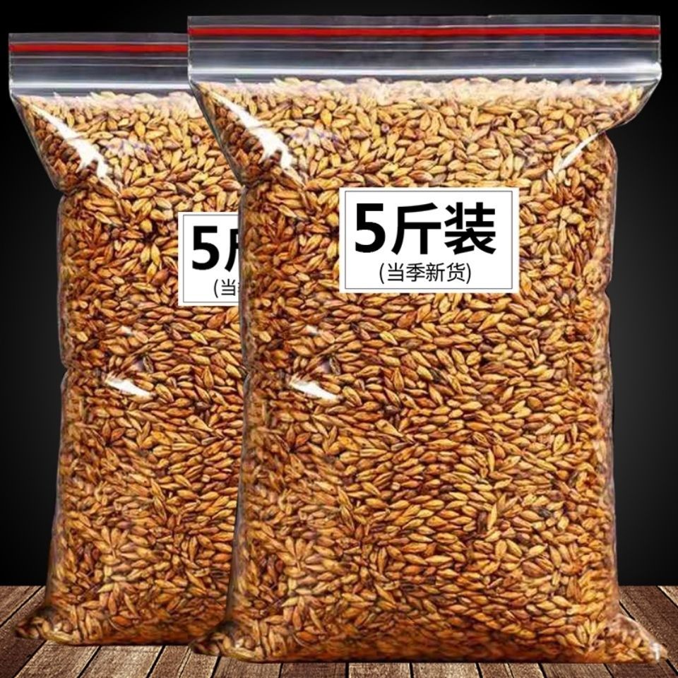 大麦粒农家带壳大麦 发芽 大麦芽2500g酿酒麦芽糖 可做大麦茶量大