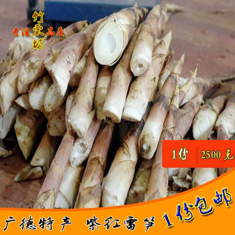 2024年 宣城广德雷笋 新鲜现挖野生雷竹笋正宗安徽春笋1份2500克