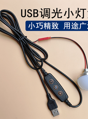 5vled灯usb调光接口照明手工diy模型装饰灯笼灯泡迷你应急小夜灯