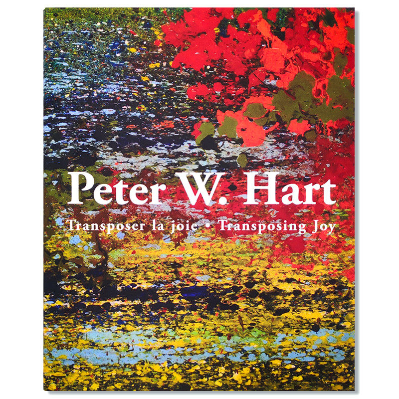 现货包邮 Peter W.Hart Transposer la joie.Transposing Joy 彼得·w·哈特 向日葵抽象油画作品集 艺术画册 精装大开本 英德双语