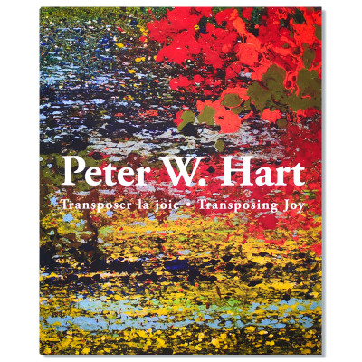 现货包邮 Peter W.Hart Transposer la joie.Transposing Joy 彼得·w·哈特 向日葵抽象油画作品集 艺术画册 精装大开本 英德双语
