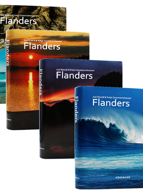 现货包邮 小本 Flanders 弗兰德斯 高耸的高塔 风景如画的市场广场 西方艺术和文化最重要的中心之一 进口原版 多语种