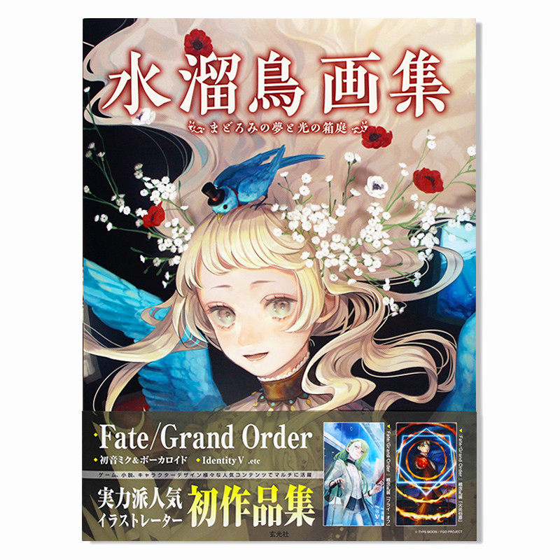 现货 水溜鳥画集 まどろみの夢と光の箱庭 日本天才画师 水溜鸟画集 梦幻和光的庭院 美丽原创插图作品 角色设计画册 日文原版