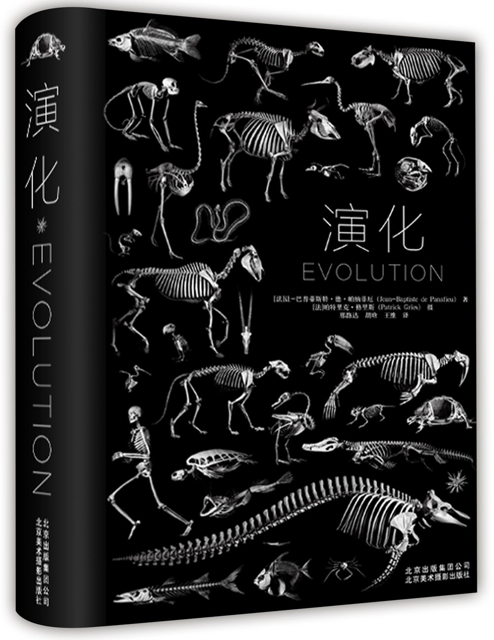 正版 演化 中文版Evolution in action 黑白摄影 法国