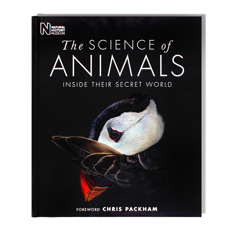 现货 The Science of Animals 动物科学 探索动物王国多样性 艺术动物绘画 摄影解剖揭示神秘动物学 DK百科全书 英文原版