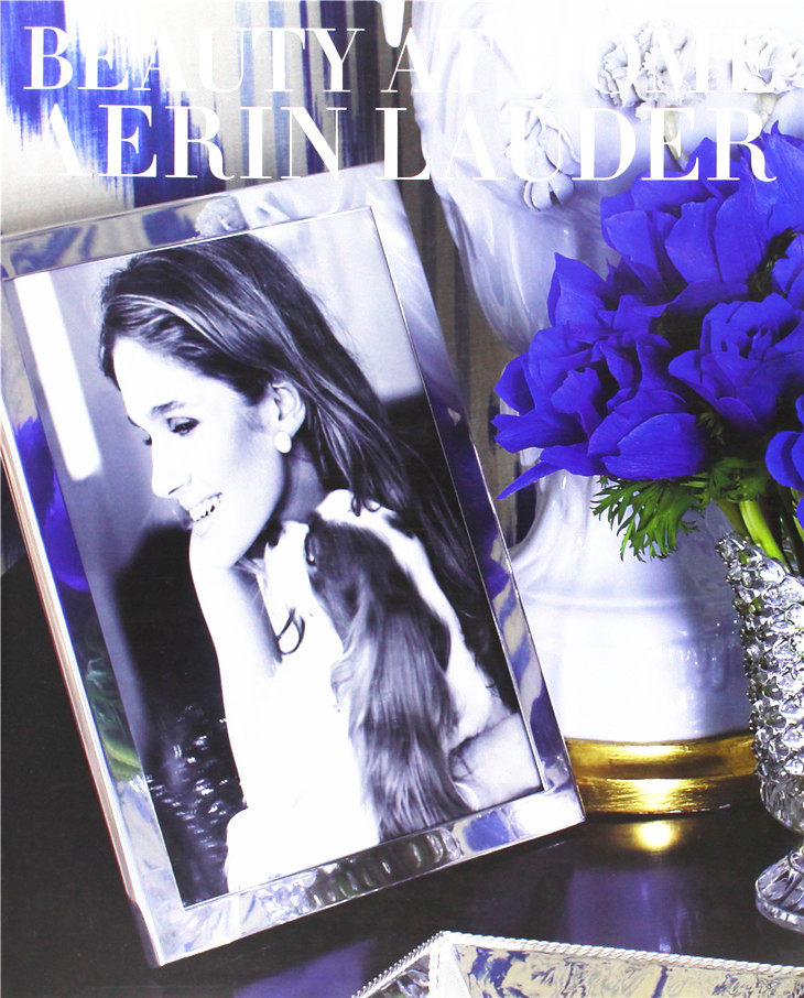 时尚偶像aerin lauder艾琳·兰黛beauty at home居家生活装饰艺术
