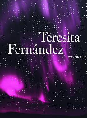 现货原版Teresita Fernández: Wayfinding 装置展示艺术设计书籍