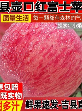 【今年新苹果】山西吉县苹果壶口苹果当季水果新鲜精品脆甜