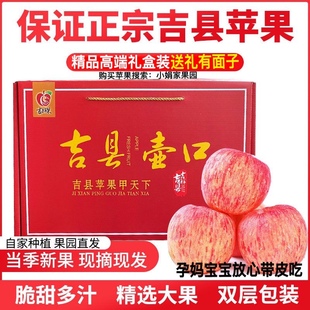 【精品礼盒装】山西吉县苹果壶口苹果红富士礼盒商超品质