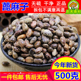 新货 蓖麻子蓖麻籽500g克 包邮特级红大麻子中药材蓖麻仁蓖麻种子