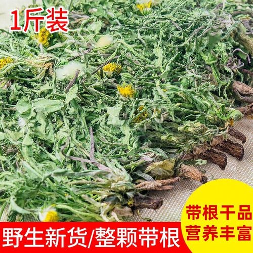 精选 天然整株蒲公英特级婆婆丁带根干蒲公英新鲜蒲公英500克包邮