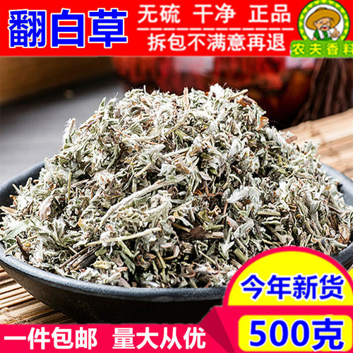 翻白草500克翻白草地骨皮中药材