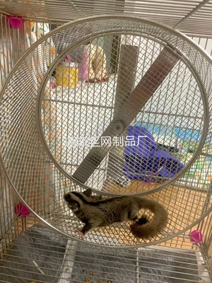 304不锈钢跑轮小宠玩具全封闭轴承挂式静音26/28/30逊泽丝网制品