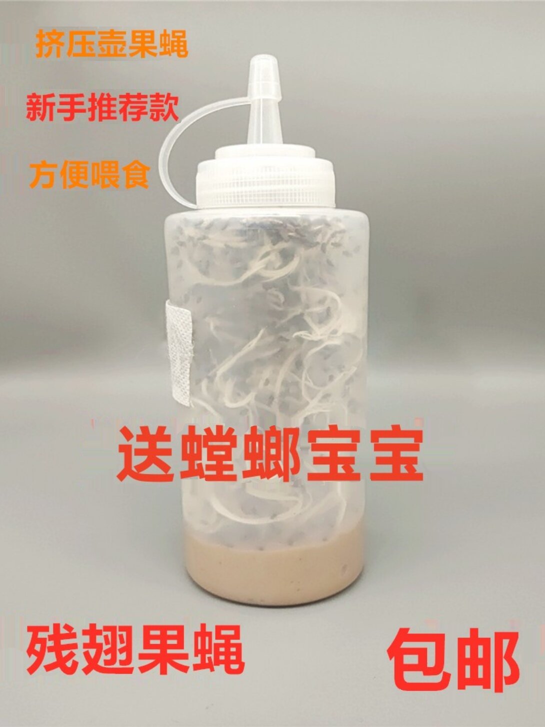 包邮果蝇杯活体螳螂 跳蛛饲料大小果蝇残翅无翅树蛙活体饲料