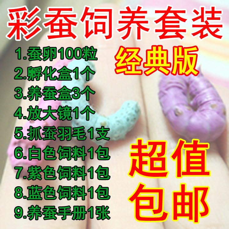 蚕宝宝彩色饲料套装 蚕卵蚕籽喂新鲜桑叶 学生养蚕套餐七彩蚕宝宝