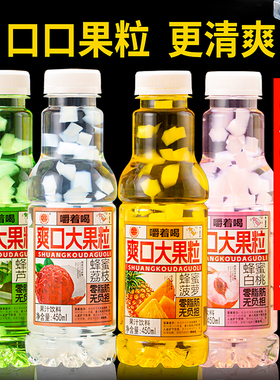 大果粒果肉果汁饮料整箱多口味混合果味饮料菠萝爽口解渴学生好喝