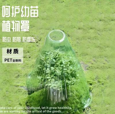 植物保护钟罩可重复使用PET防风育苗霜冻保暖罩免受鸟类蜗牛伤害