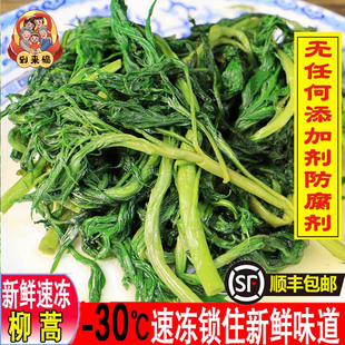 顺丰包邮东北柳蒿芽新鲜柳蒿速冻发货新鲜山野菜食用农产品