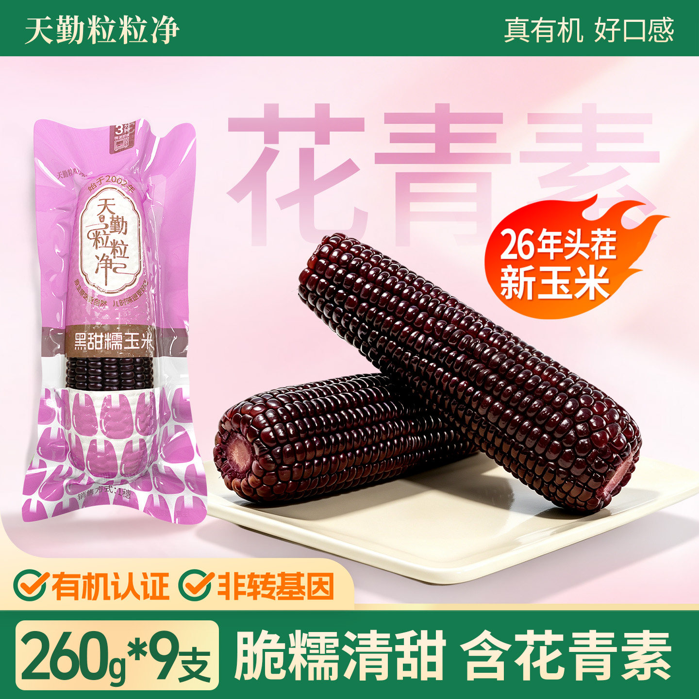天勤粒粒净黑糯甜粘玉米26年鲜采图片