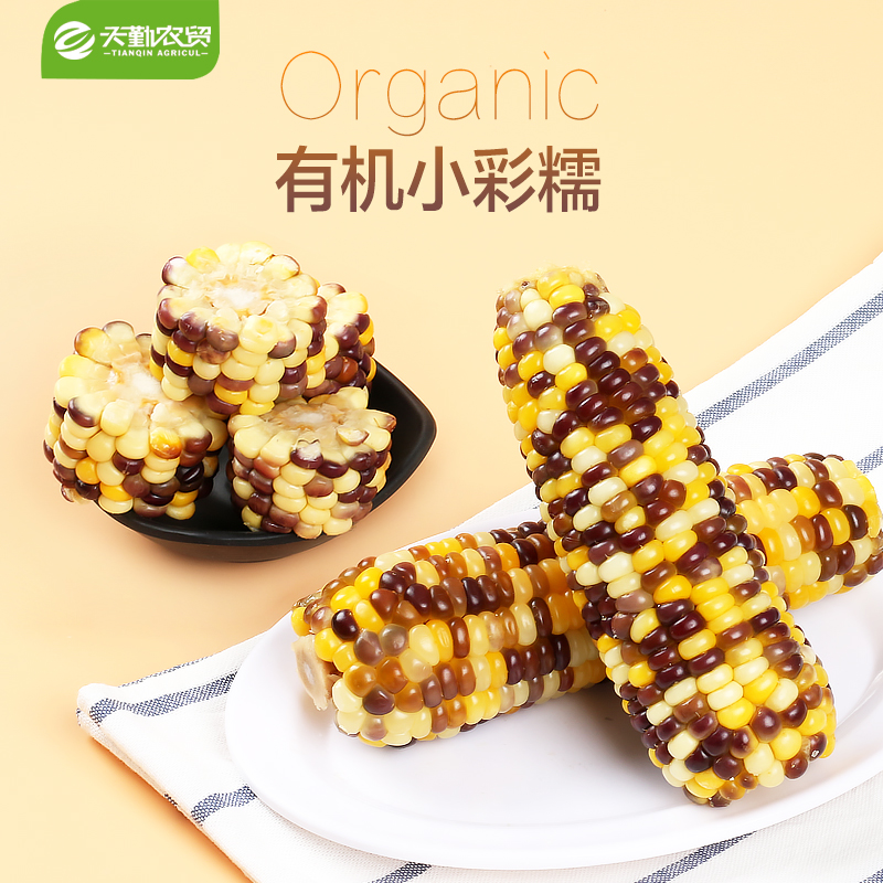 新鲜非转基因彩糯小玉米10送5