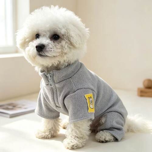 秋冬潮酷狗狗衣服雪纳瑞比熊泰迪柴犬西高地马尔打底四脚裤打底衫