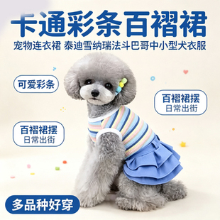 宠物衣服连衣裙卡通泰迪雪纳瑞法斗巴哥中小型犬狗彩条百折裙