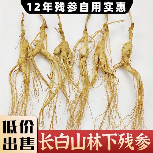 正宗12年东北林下参长白山人参林下参残参干货人参泡酒专用一手货