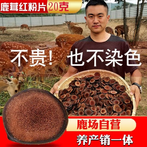 枫木鹿茸片红粉片鹿茸血片吉林梅花鹿马鹿茸整根泡酒男用正品20克