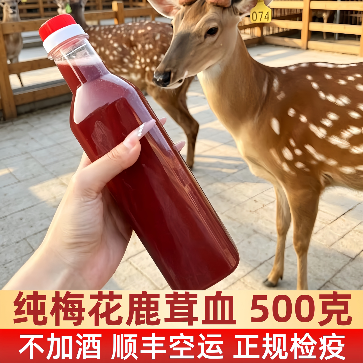 吉林双阳梅花鹿茸血红色灵液新鲜纯鹿茸血不加水冷冻顺丰空运发货