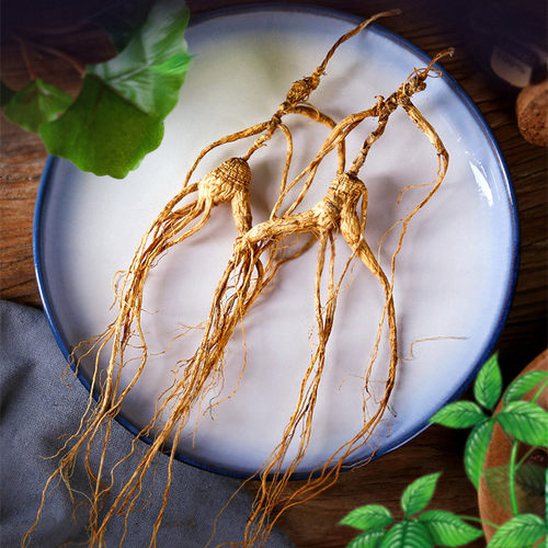 18年林下参吉林长白山参自产自销