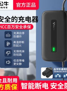 公牛电动车电瓶充电器60V72V20AH适用雅迪台铃铅酸电车三轮车通用