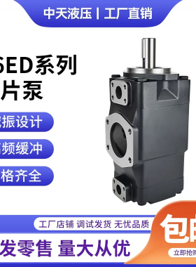 丹尼逊型双联叶片油泵T6ED-057 062 072-031 038 045 050-1R01-B1