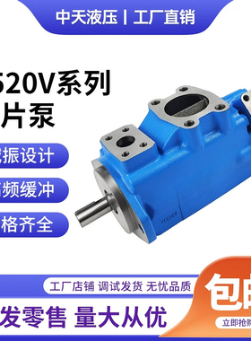 威格士VICKERS型液压双联泵2520V-12 14 17 21A6 8 11 14-1DD-22R