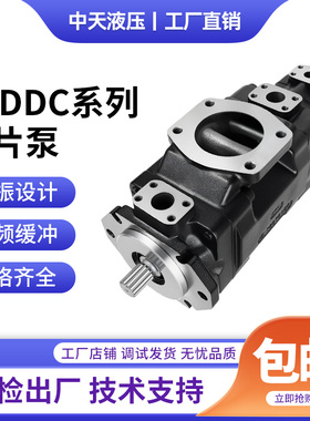 丹尼逊DENISON型液压泵T6DDC-050-050-025 028 031-3R00-A1叶片泵