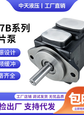 丹尼逊DENISON型高压叶片泵T67B-B02 B03 B04 B05 B06-1R02-A1M0