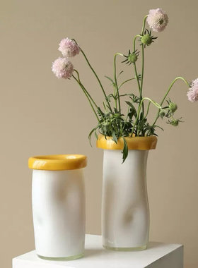 法式家居高级感白色直筒翻边轻奢玻璃花瓶摆件水培插花器皿玄关