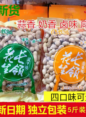 新货河南特产长领花生500g2500熟奶香卤味咸干蒜香味带壳炒货年货