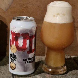 【洪雨精酿】金兰姐妹 现货 流言蜚语/几何7号/芒狗当家精酿啤酒