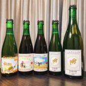 克里克樱桃 老贵兹 康狄龙 兰比克啤酒 洪雨精酿