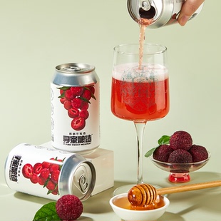 奇异果荔枝 青提百花 寻蜜 凤梨血橙蜜酒精酿啤酒 洪雨精酿