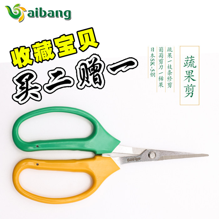 爱邦葡萄修果剪刀翘头疏菜瓜水果 园艺 盆栽果枝量大包邮修枝插花