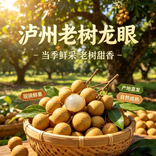 泸州桂圆新鲜老品种老树现摘现发四川特产泸县水果宝石龙眼顺丰
