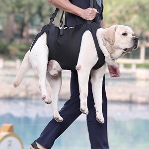 狗狗辅助带辅助行走宠物背带