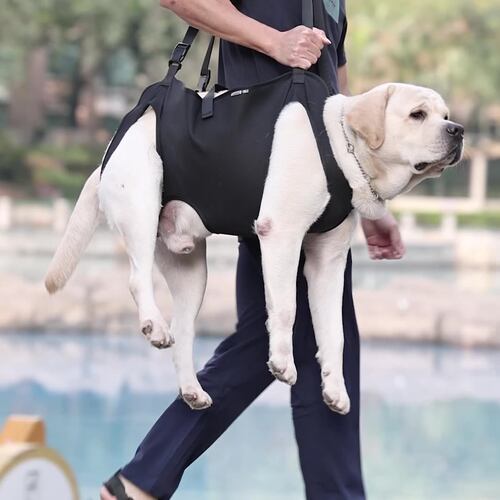 狗狗辅助带辅助行走宠物背带