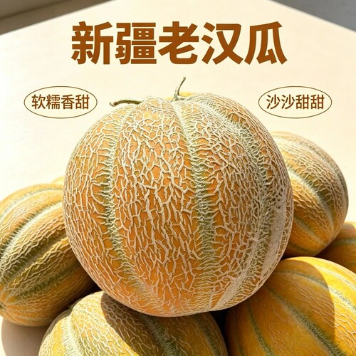 新疆吐鲁番老汉瓜当季现摘